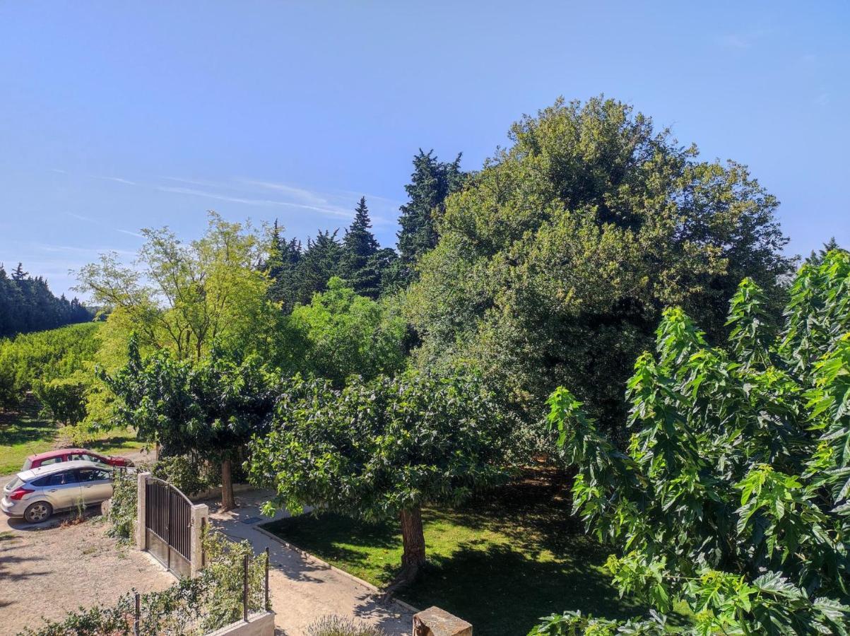Vallabrègues Mas Provencal Au Coeur Des Vergers מראה חיצוני תמונה